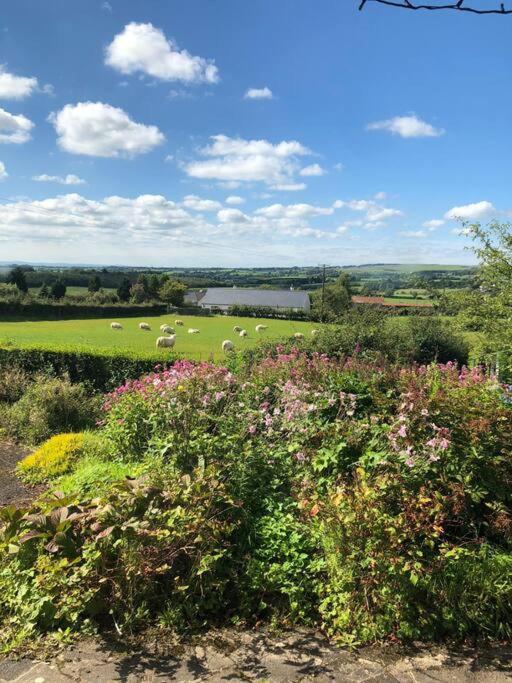 A View Of The Glens Martinstown Exterior foto